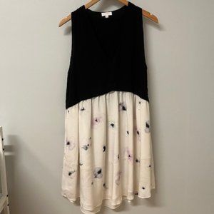 Two Toned Silk Aritzia Wilfred Dress